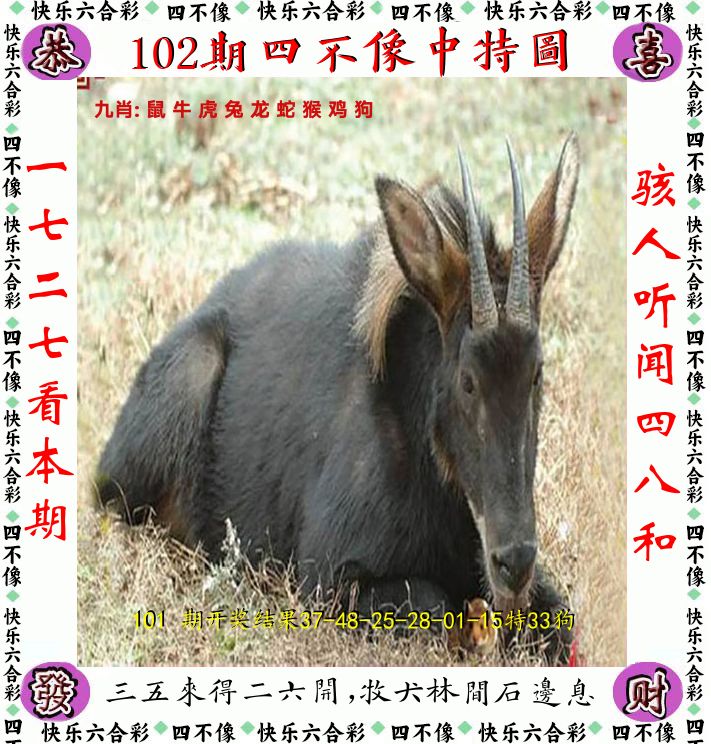 四不像 第102期
