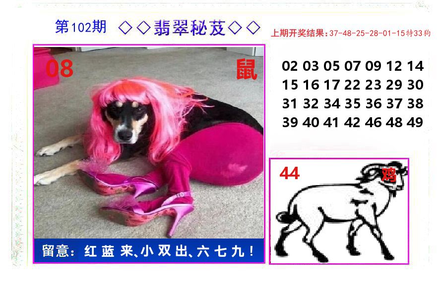 翡翠秘芨 第102期