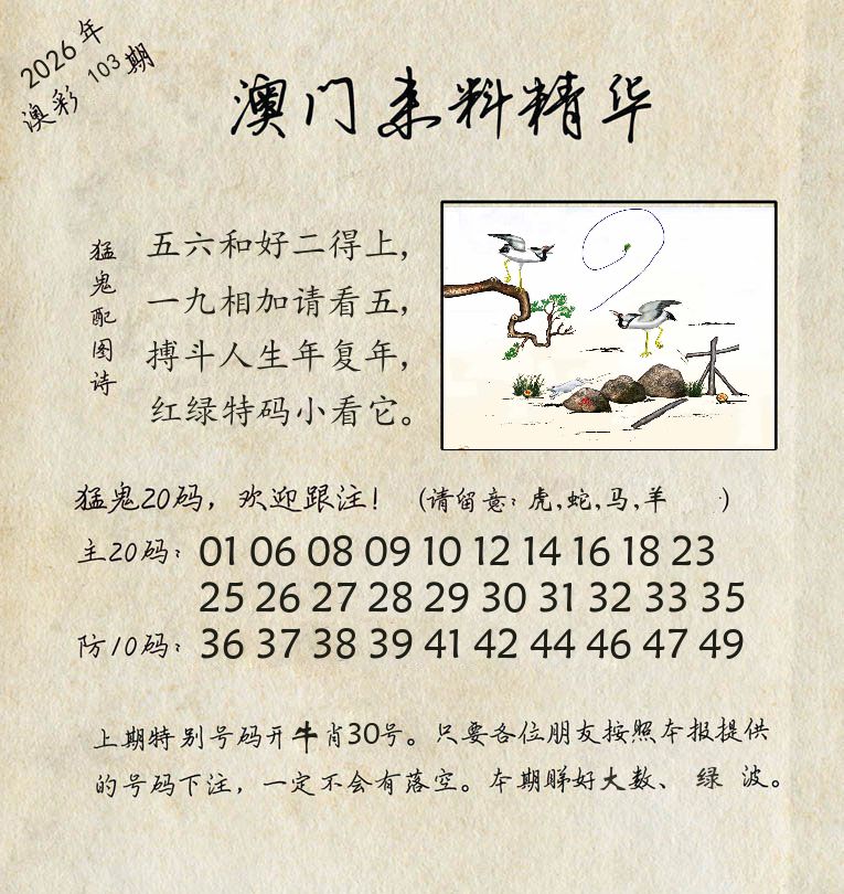 精华来料 第103期