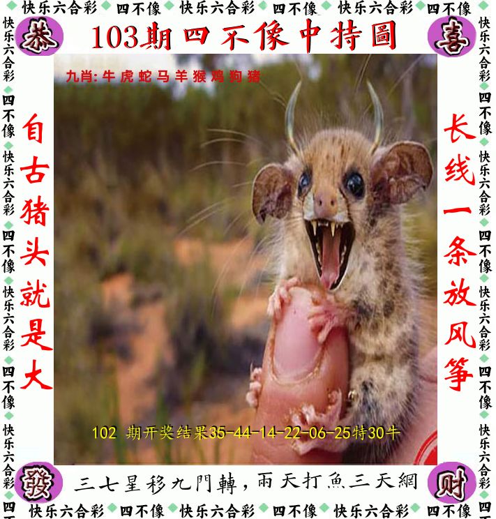 四不像 第103期
