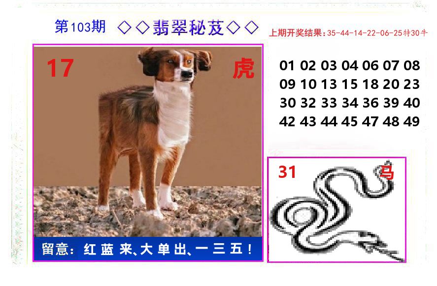 翡翠秘芨 第103期