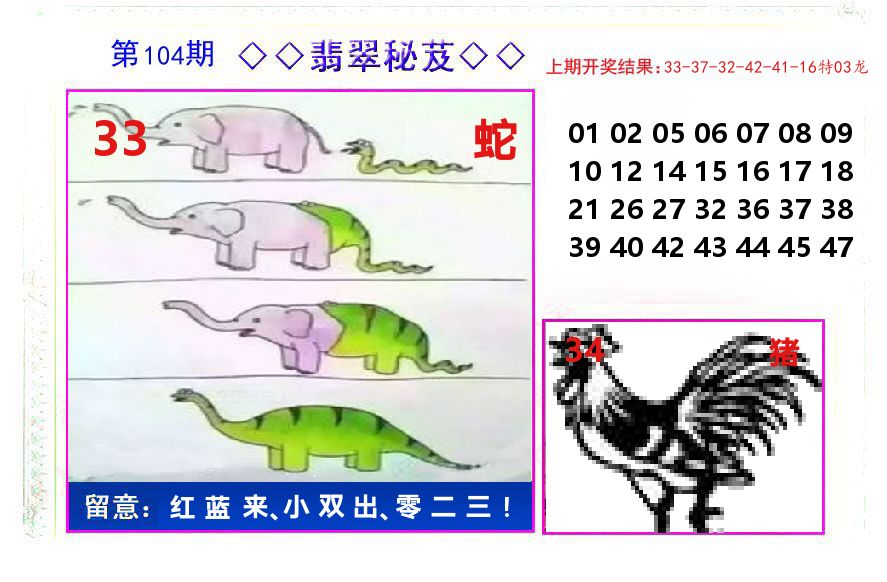 翡翠秘芨 第104期
