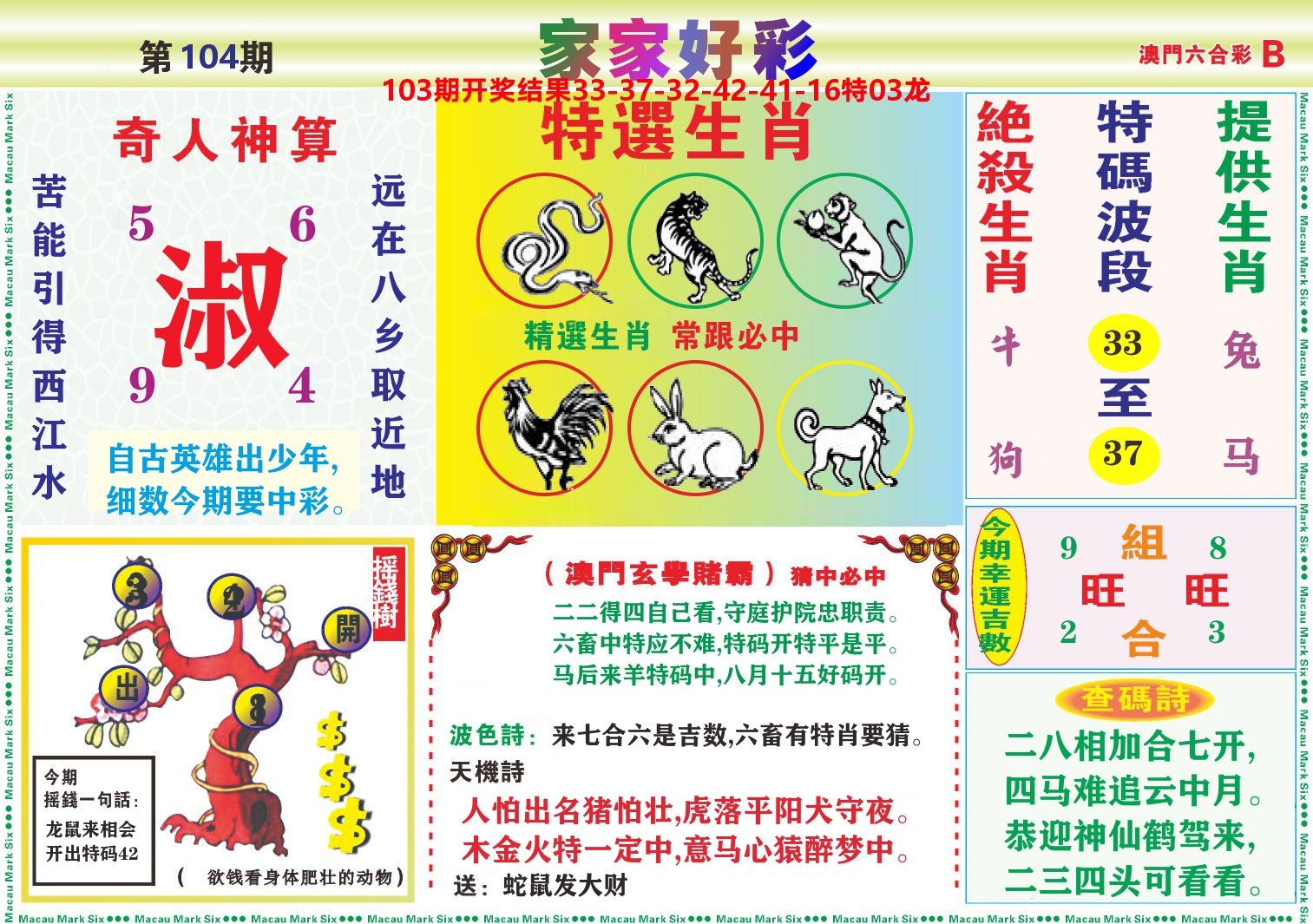 家家好彩B 第104期