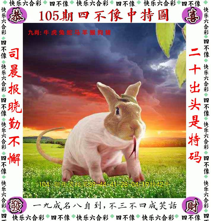 四不像 第105期