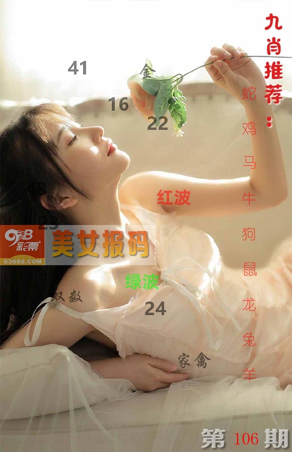 美女报码 第106期
