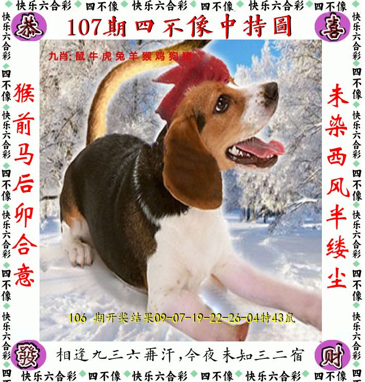 四不像 第107期