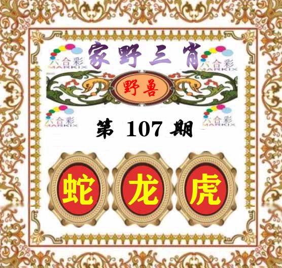 家野三肖 第107期
