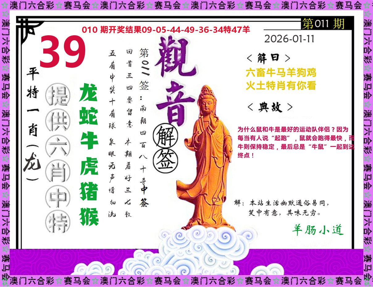 观音解签 第11期