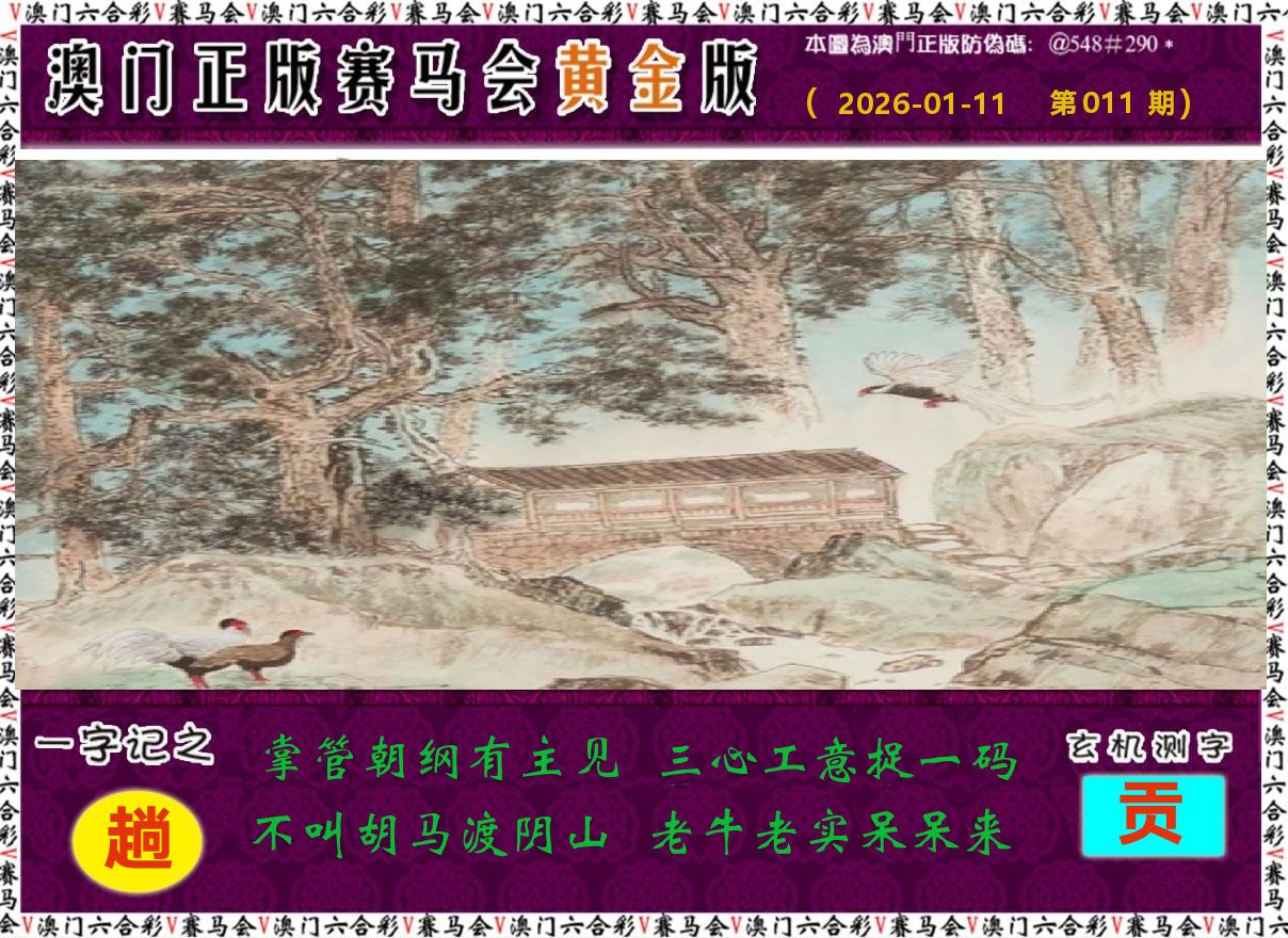 赛马会黄金版 第11期