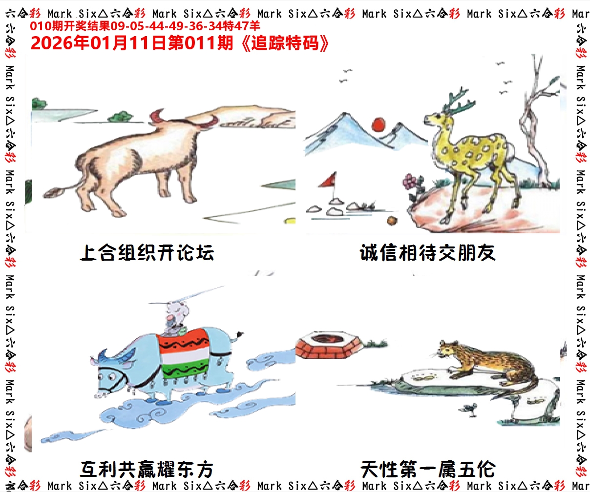 追踪特码 第11期