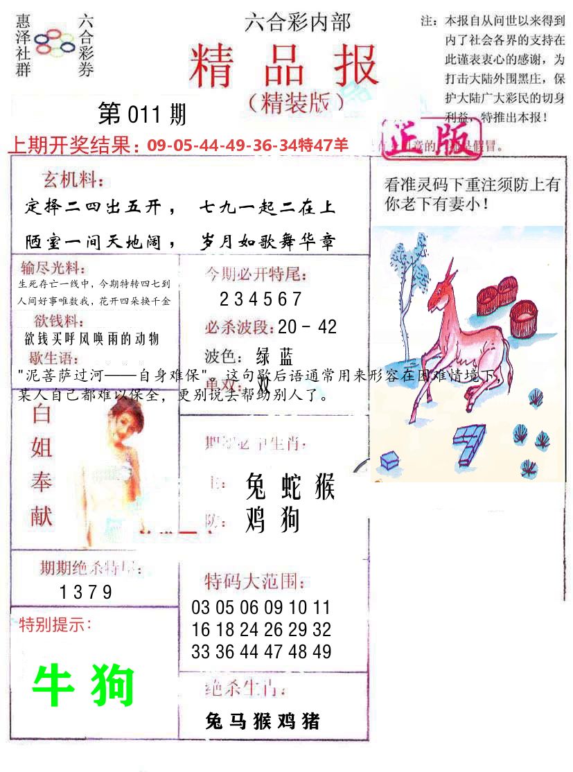 精品报 第11期