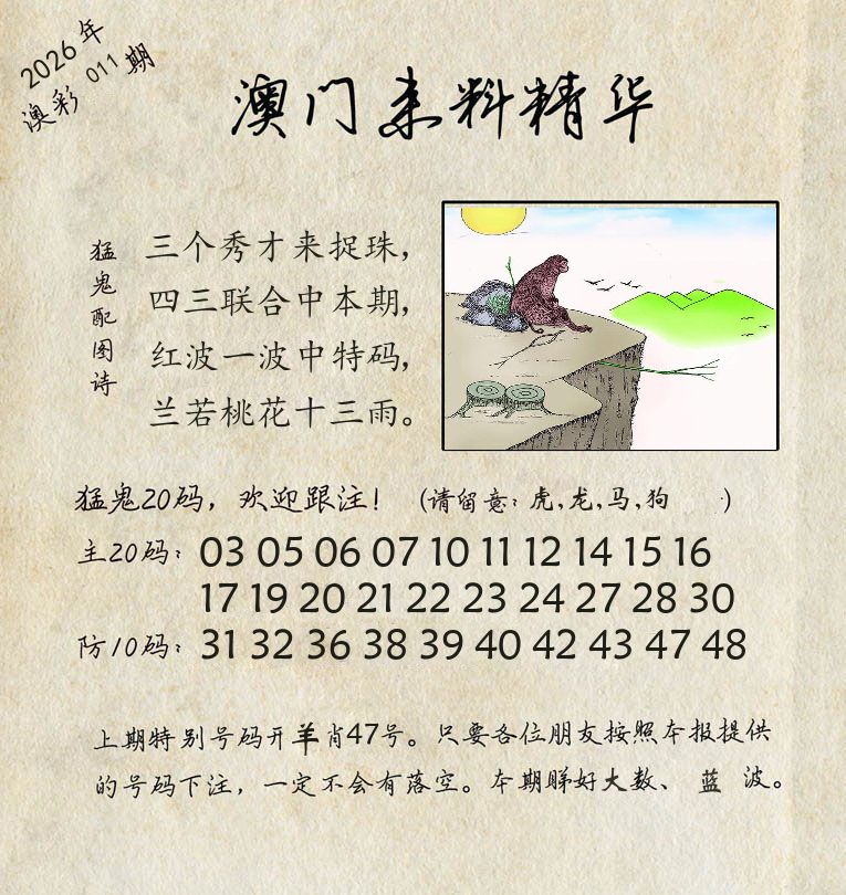 精华来料 第11期