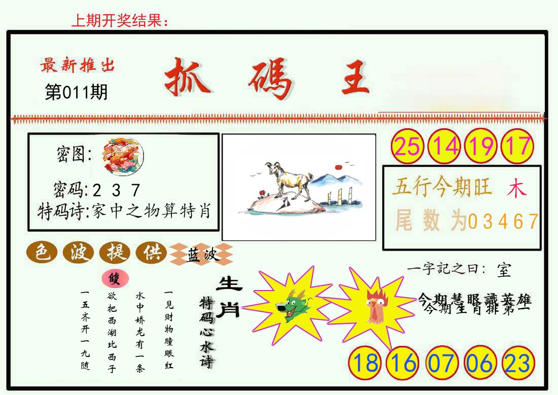 最新抓码王 第11期