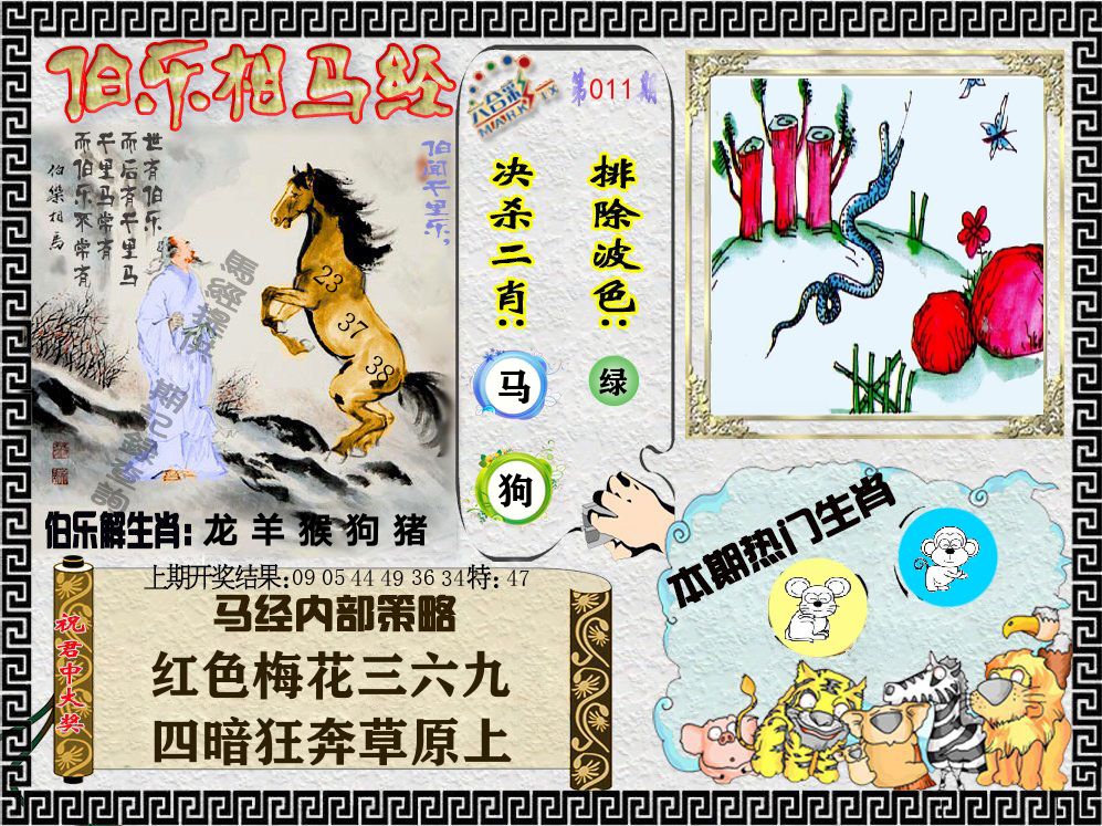 伯乐相马经 第11期