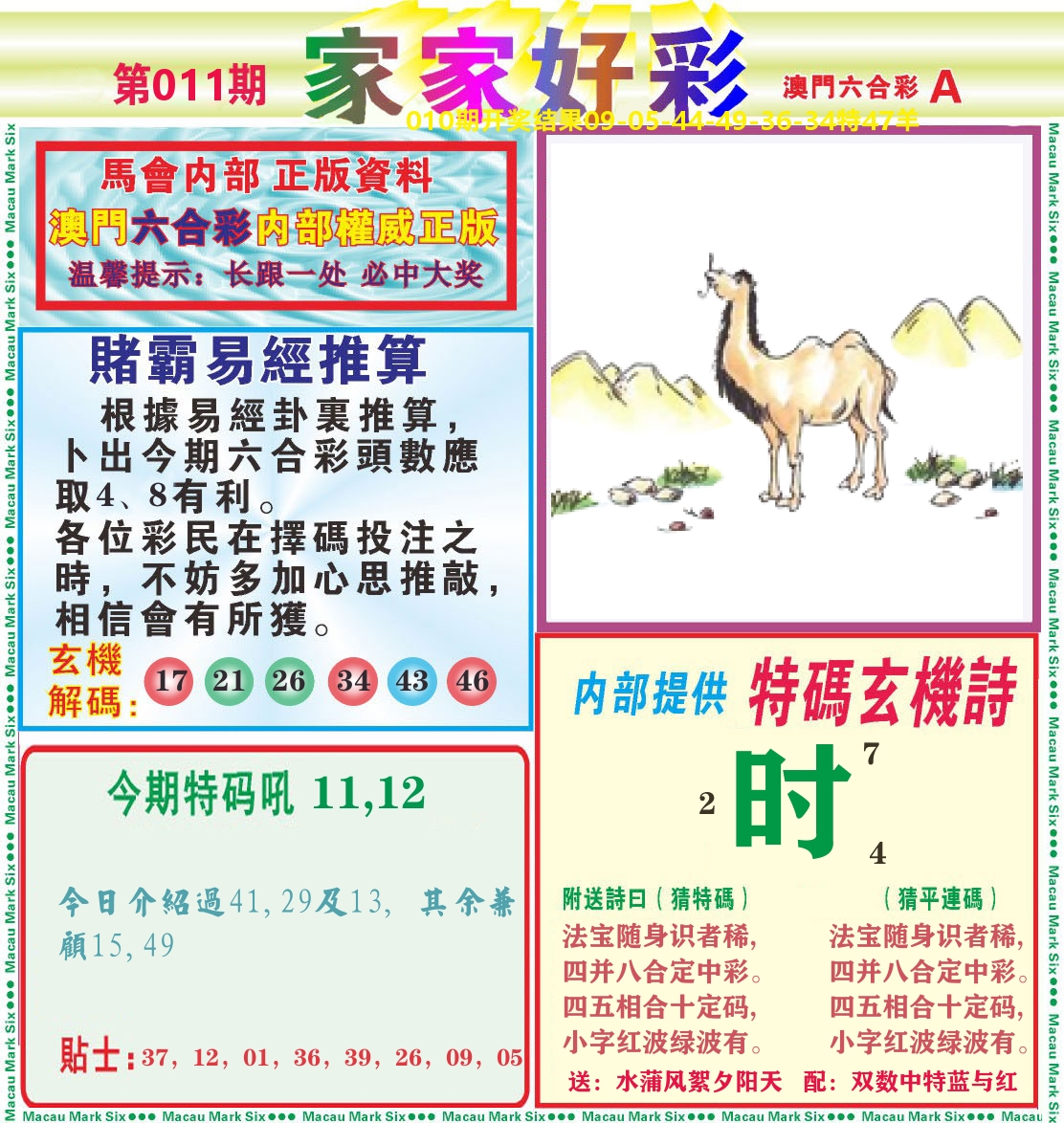 家家好彩A 第11期