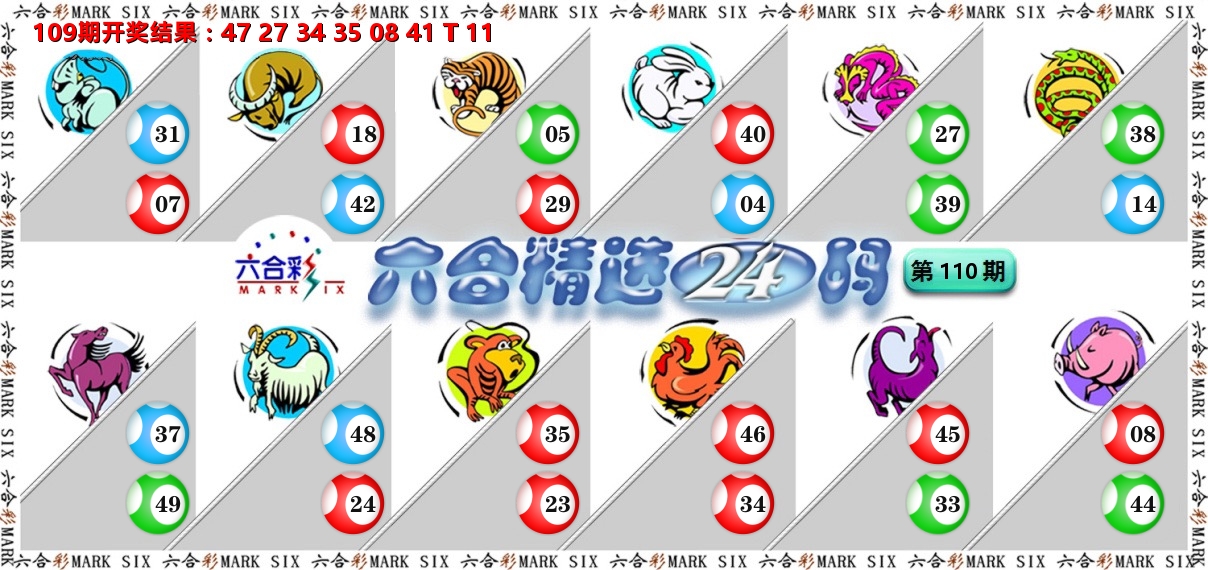 六合精选24码 第110期