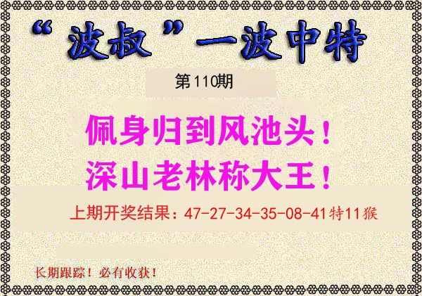 波叔中特 第110期