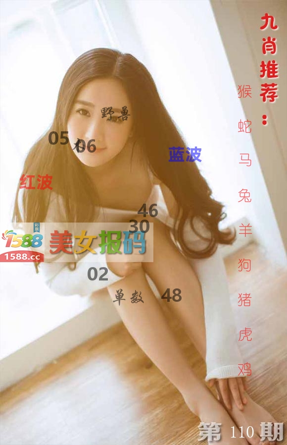 美女报码 第110期