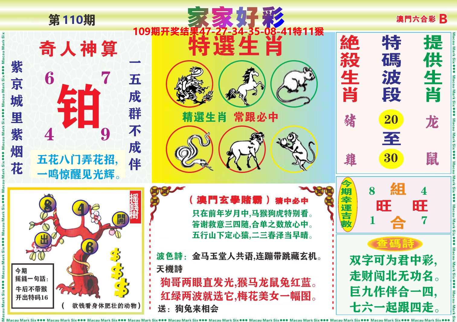 家家好彩B 第110期