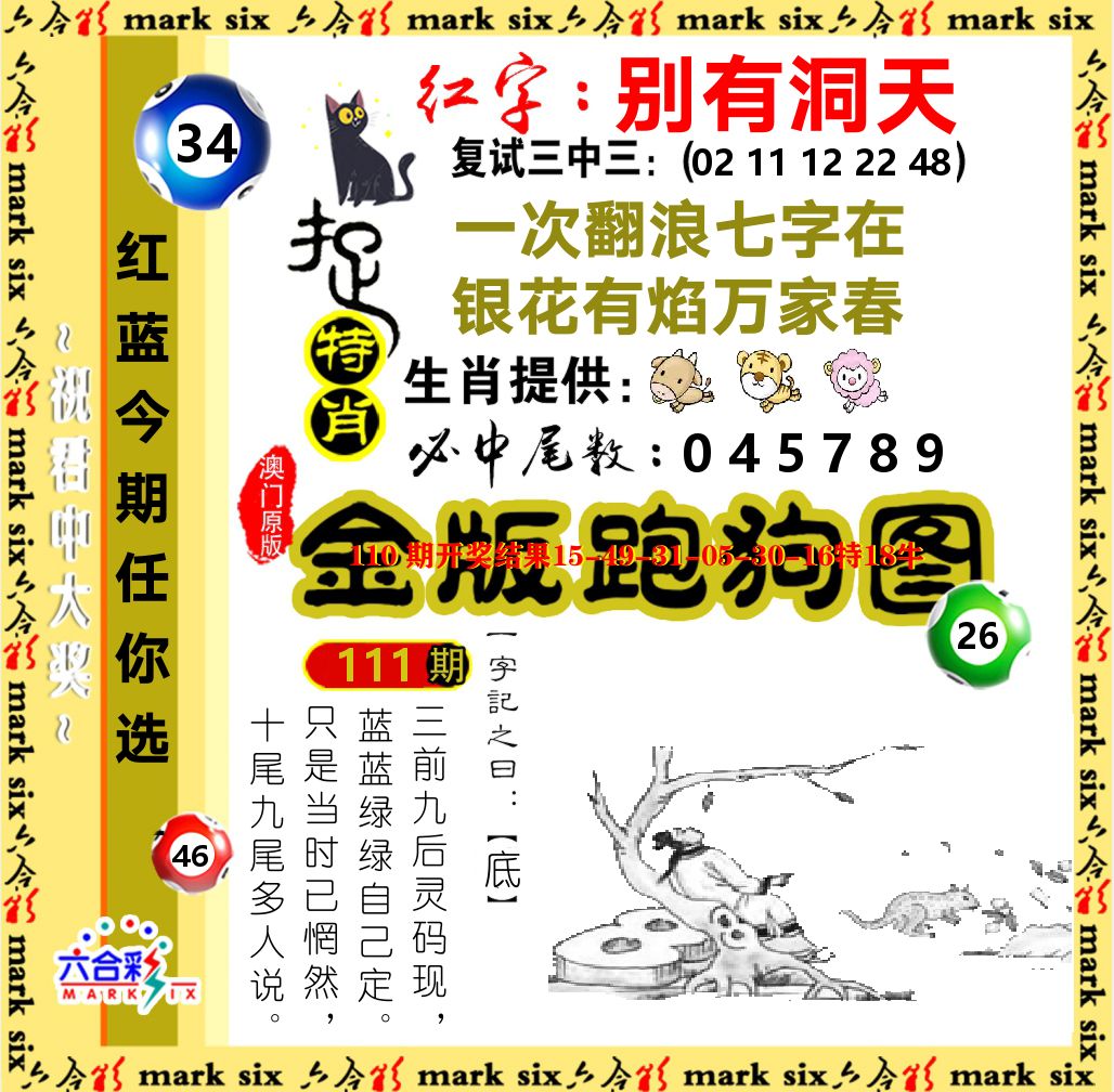 金版跑狗图 第111期