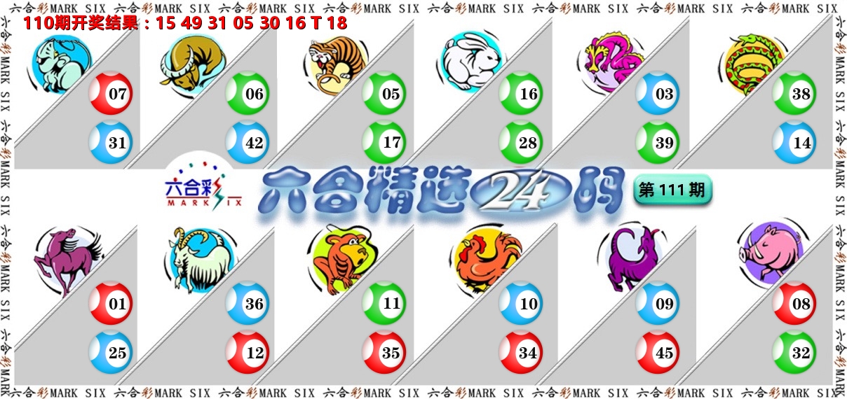 六合精选24码 第111期