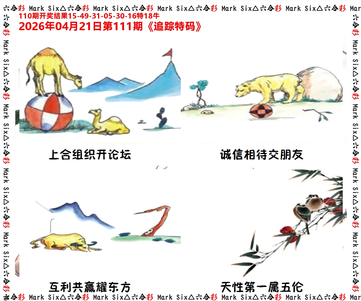 追踪特码 第111期