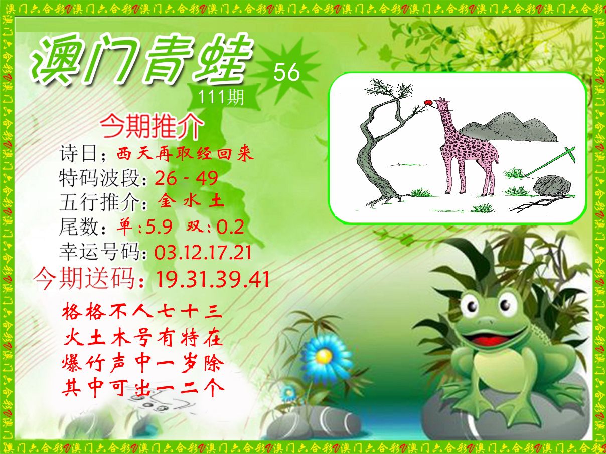 青蛙系列56 第111期