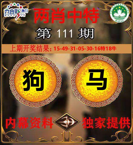 两肖中特 第111期