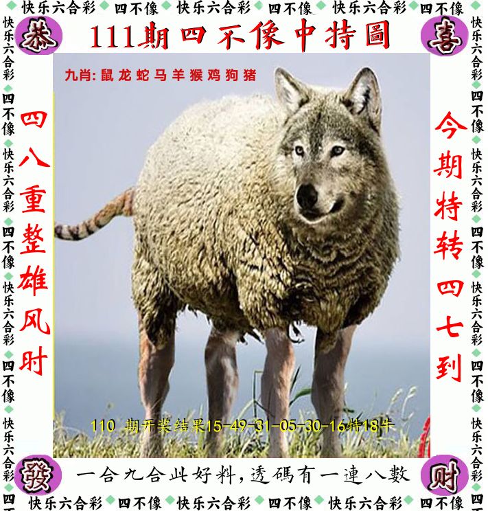 四不像 第111期