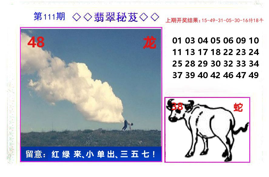 翡翠秘芨 第111期