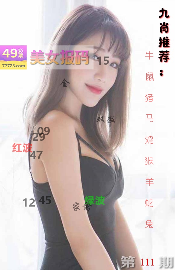 美女报码 第111期