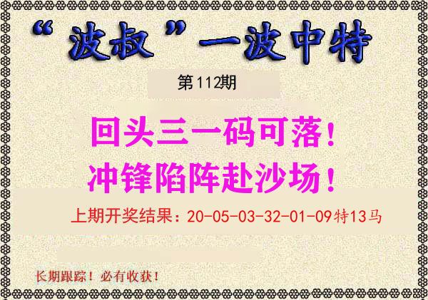 波叔中特 第112期
