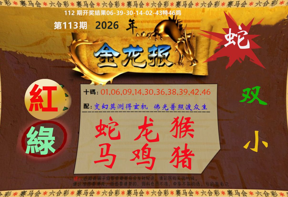 金龙报 第113期