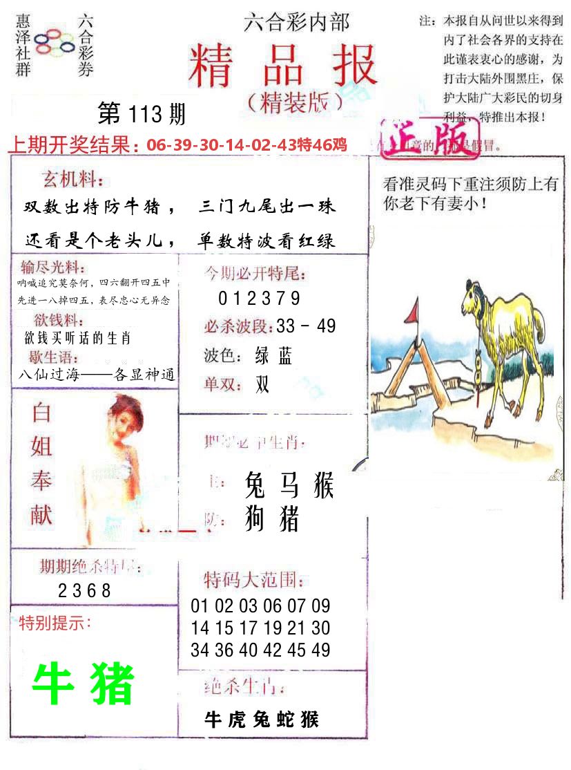 精品报 第113期