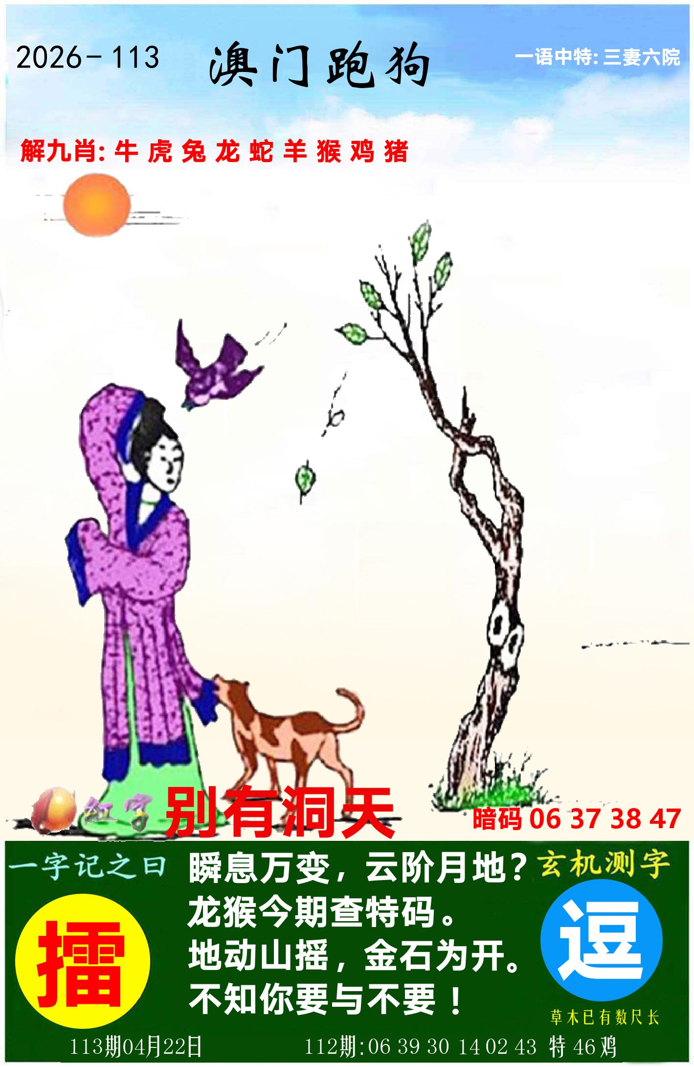澳门跑狗图 第113期