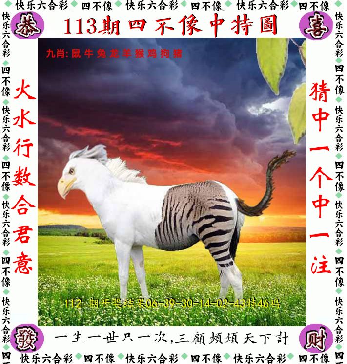 四不像 第113期