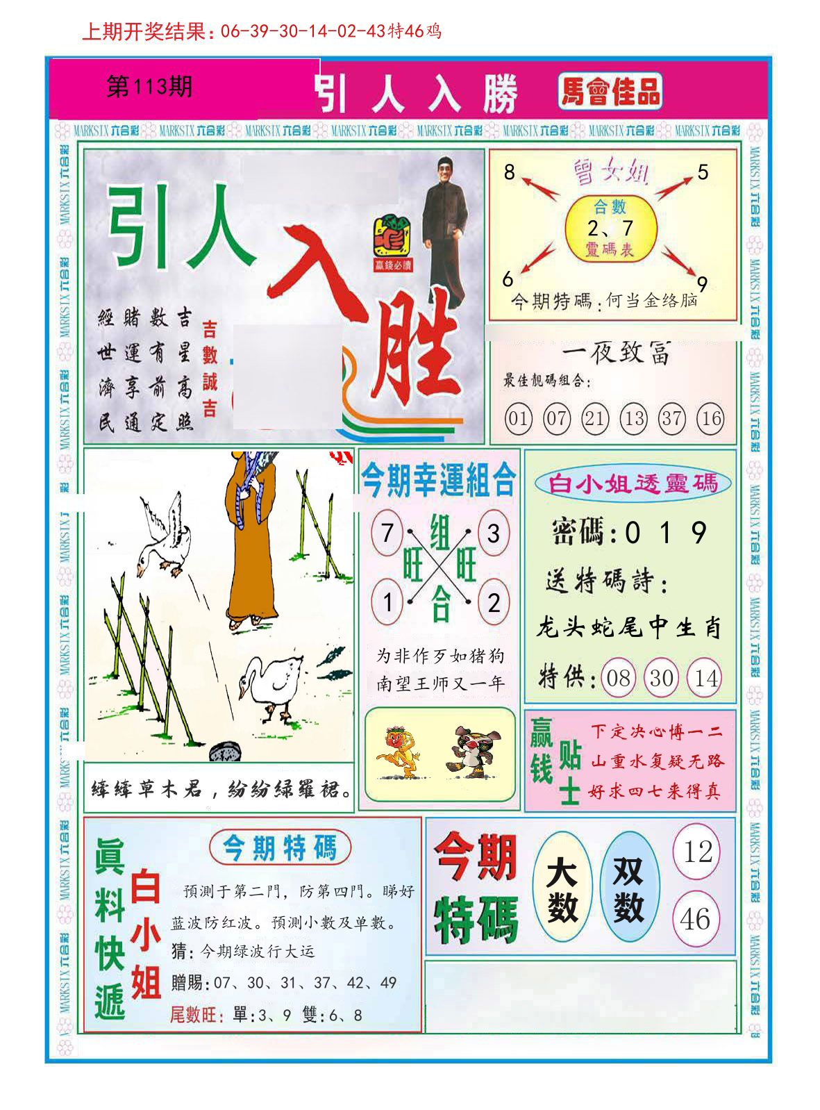 引人入胜 第113期