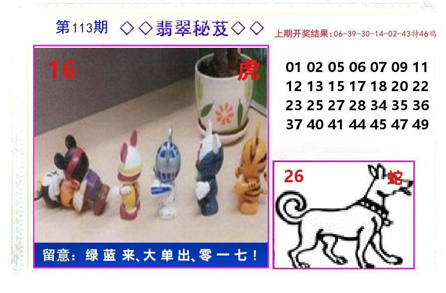 翡翠秘芨 第113期