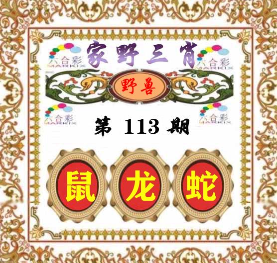 家野三肖 第113期