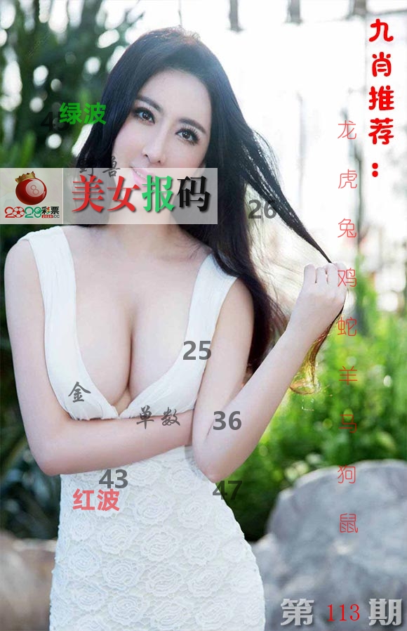 美女报码 第113期