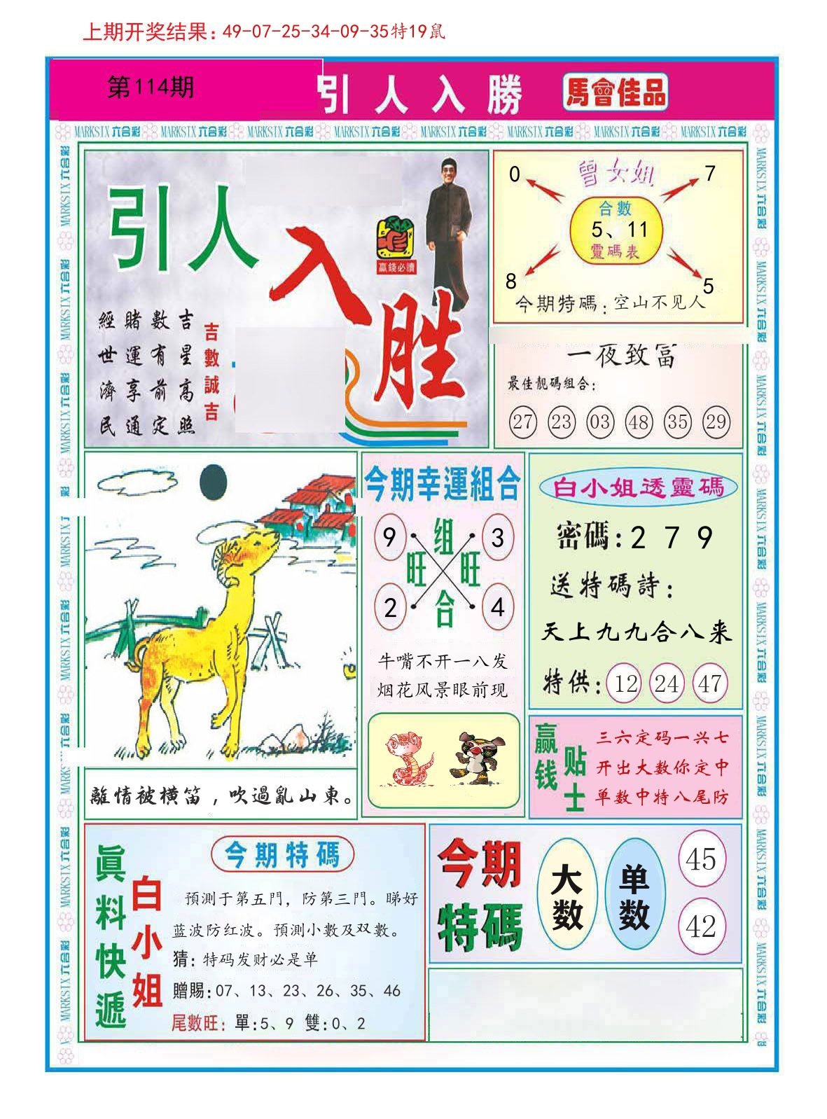 引人入胜 第114期