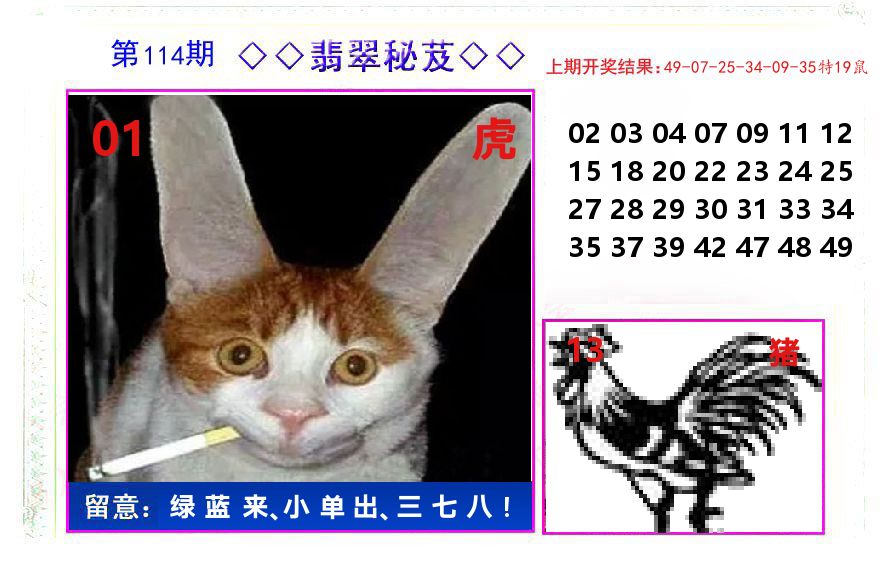 翡翠秘芨 第114期