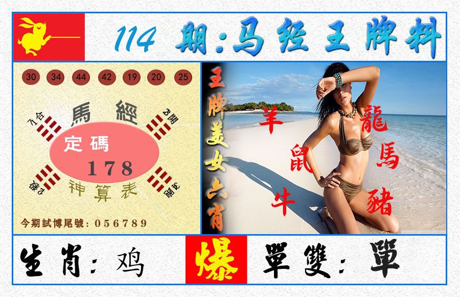 澳门王牌料 第114期