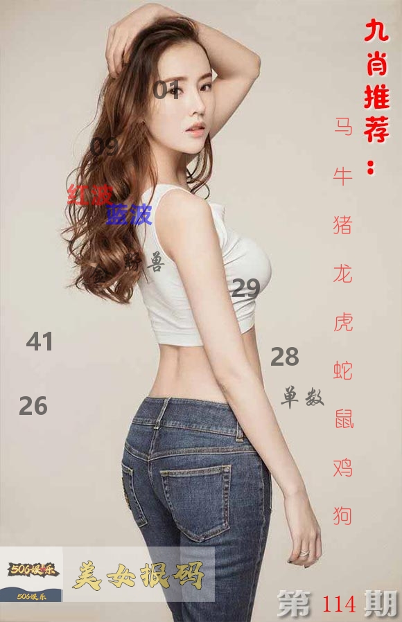 美女报码 第114期
