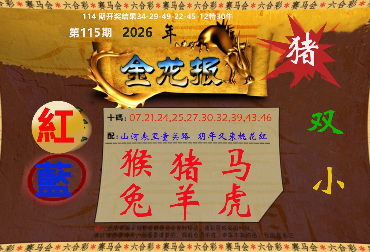 金龙报 第115期