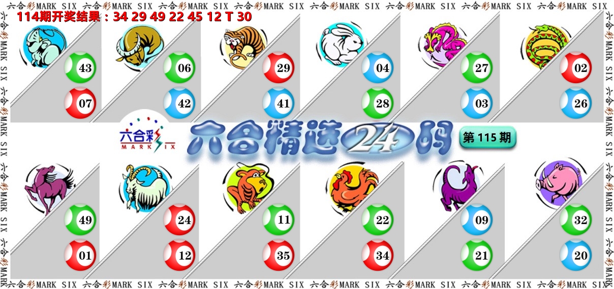 六合精选24码 第115期