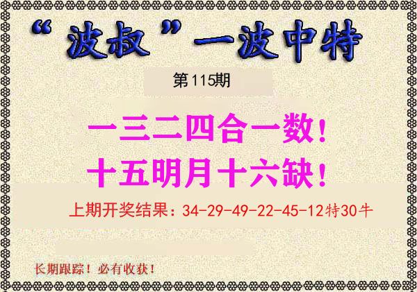 波叔中特 第115期