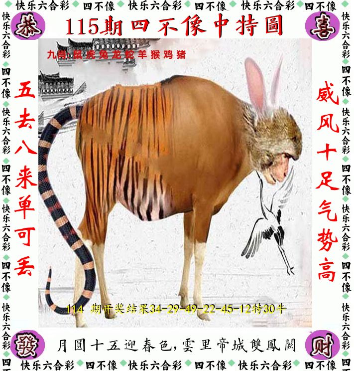 四不像 第115期