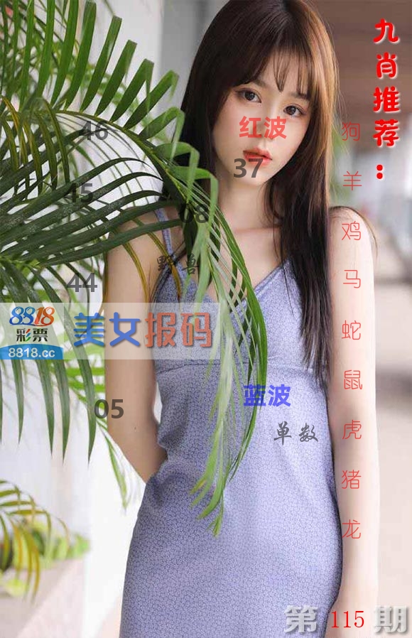 美女报码 第115期