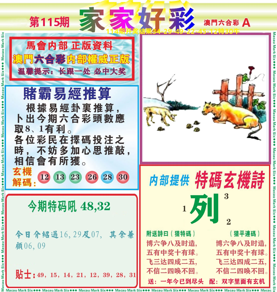 家家好彩A 第115期
